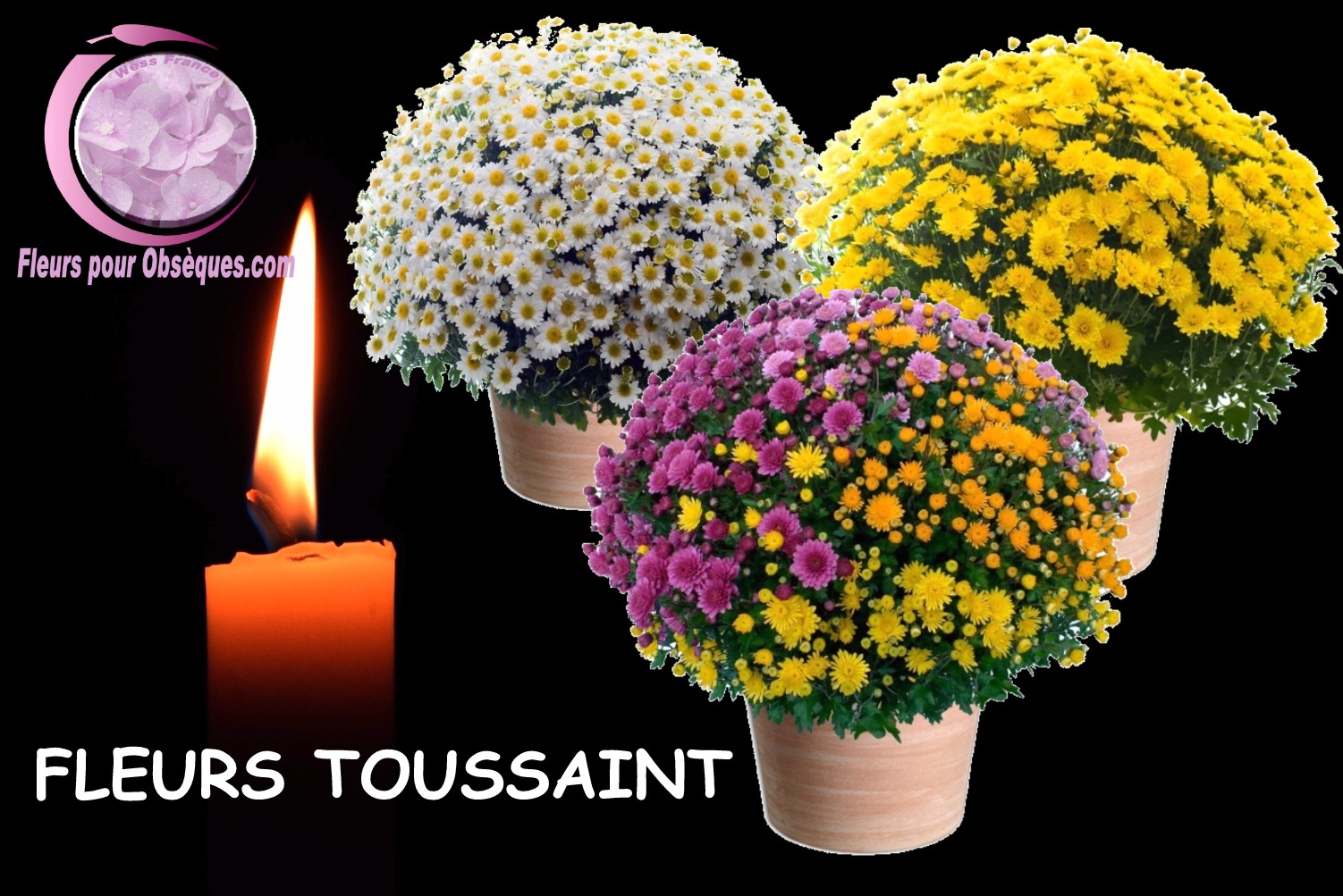 FLEURS TOUSSAINT WALSCHEID 57  - FAITES AUSSI LIVRER DES FLEURS A L'OCCASION DE LA TOUSSAINT A WALSCHEID 57  - FLEURS TOUSSAINT WALSCHEID 57  - FAIRE LIVRER DES FLEURS AU CIMETIÈRE A WALSCHEID 57  POUR LA TOUSSAINT - FLEURS CIMETIERE TOUSSAINT - ENVOYER DES FLEURS TOUSSAINT A WALSCHEID 57  - COMMENT FAIRE LIVRER DES FLEURS POUR LA TOUSSAINT A WALSCHEID 57