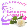 FLEURS DEUIL